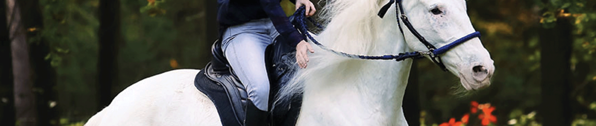 Coussin de cheval en fourrure Bareback, selle + circonférence + bonnet