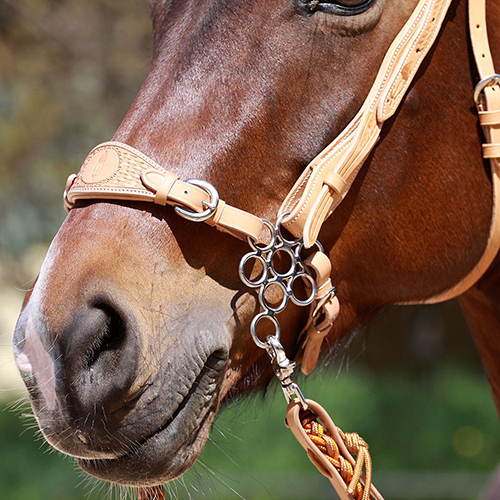 Gravure En Cuir Noir Réglable Hackamore Morsure De Cheval Sans Morsure