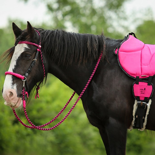 Corde à Cou Sans Bride Pour Cheval - Tiffany's Braided Tack, Couleur Sable Désert